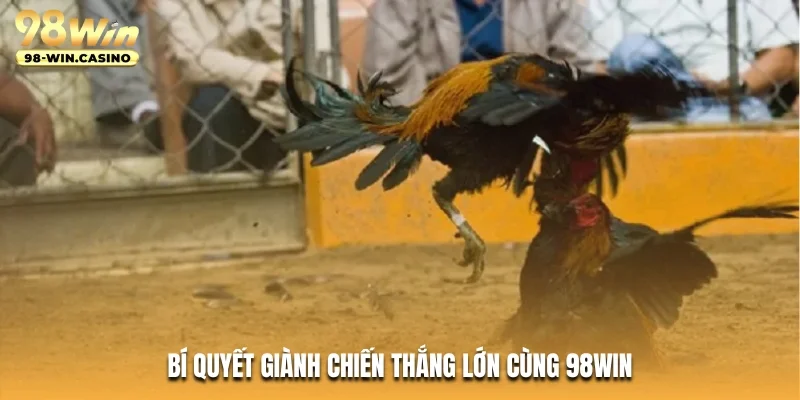 Bí quyết giành chiến thắng lớn cùng 98WIN