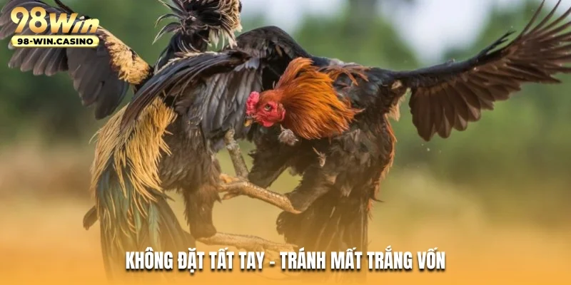 Không đặt tất tay - Tránh mất trắng vốn