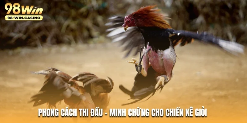 Phong cách thi đấu - Minh chứng cho chiến kê giỏi 