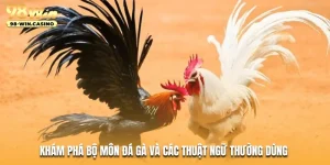 kham-pha-bo-mon-da-ga-va-cac-thuat-ngu-thuong-dung