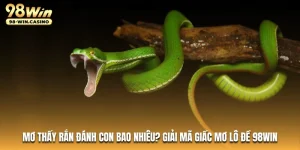 mo-thay-ran-danh-con-bao-nhieu-giai-ma-giac-mo-lo-de-98win